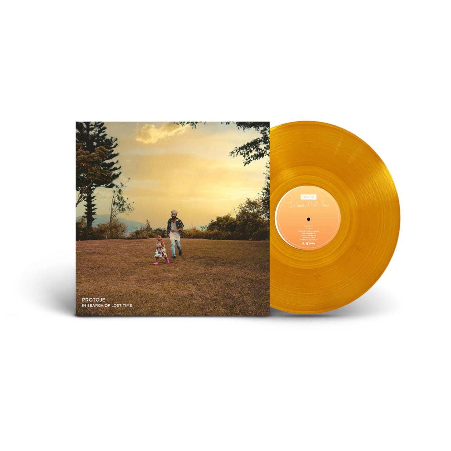 In Search Of Lost Time - Vinyl
